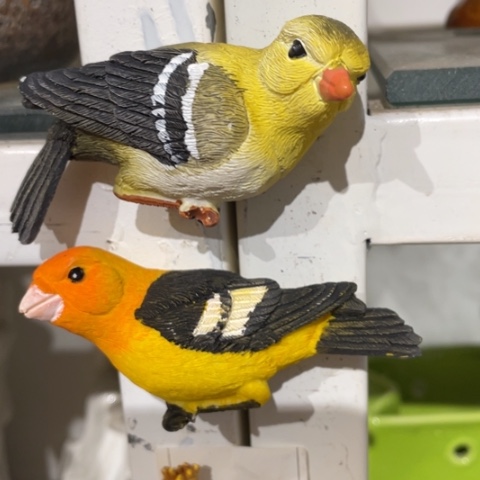 【闪购商品】杯摆件摆件摆件摆件摆件不