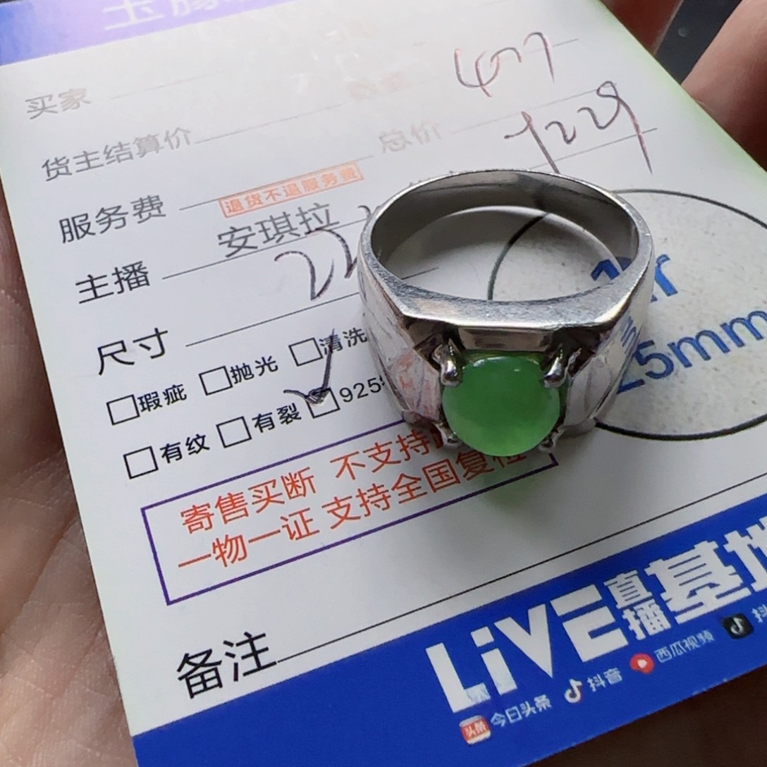 翡翠银S925镶嵌颈饰翡翠