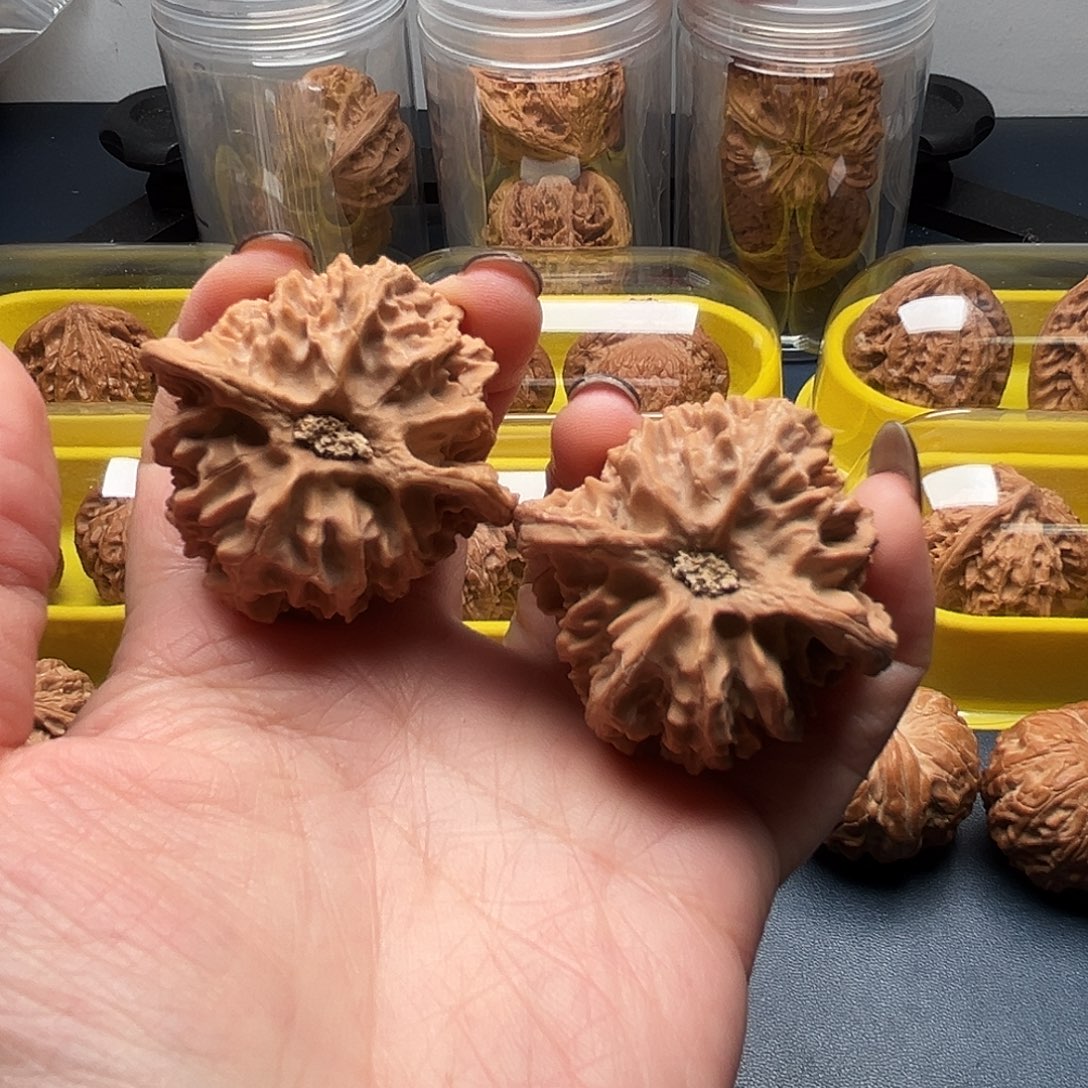 核桃43尺寸苹果园