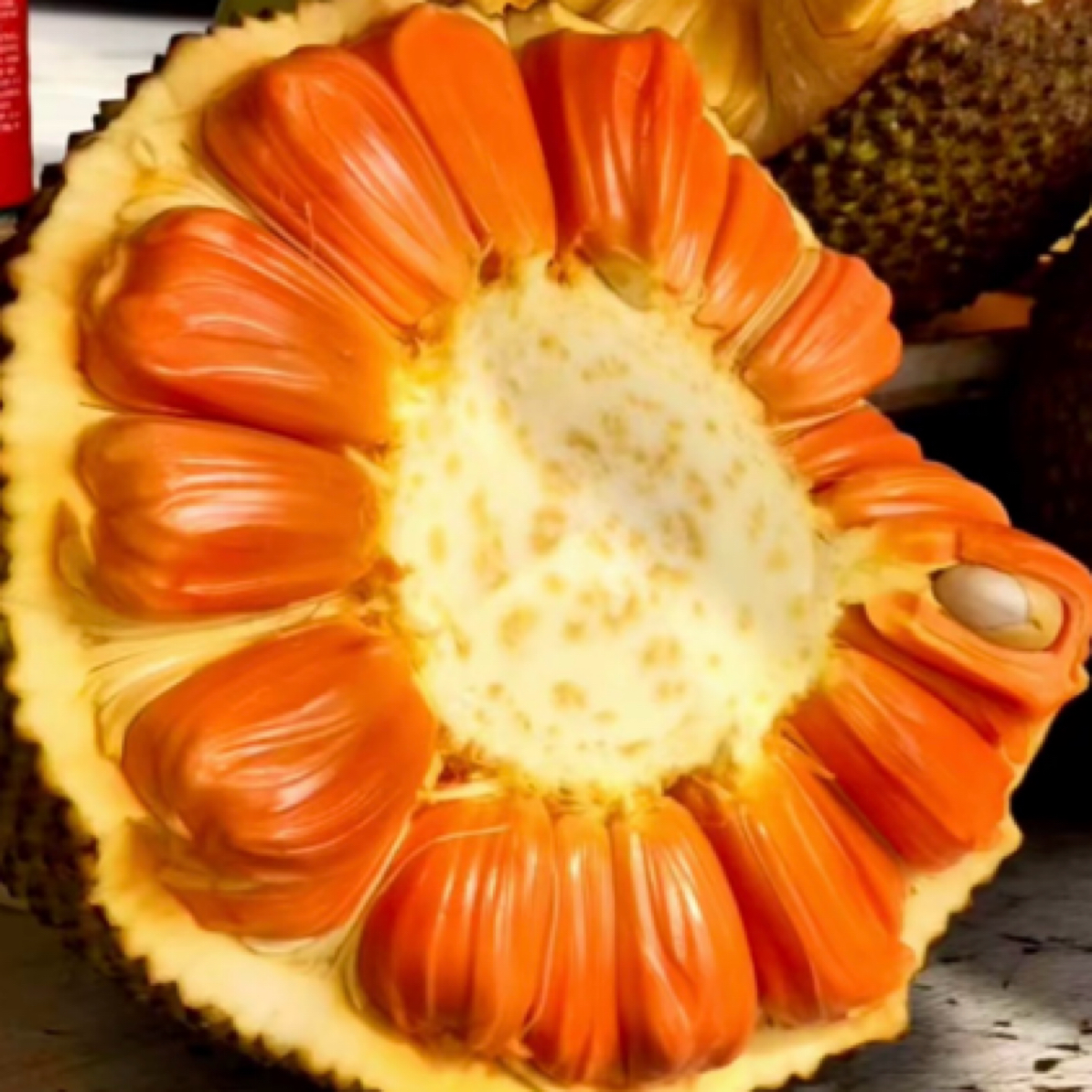 印尼红肉菠萝蜜整颗1颗（活）