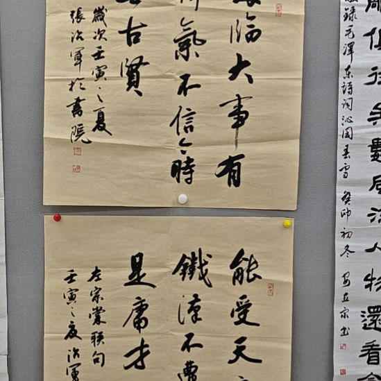 张治军院长精品书法作品