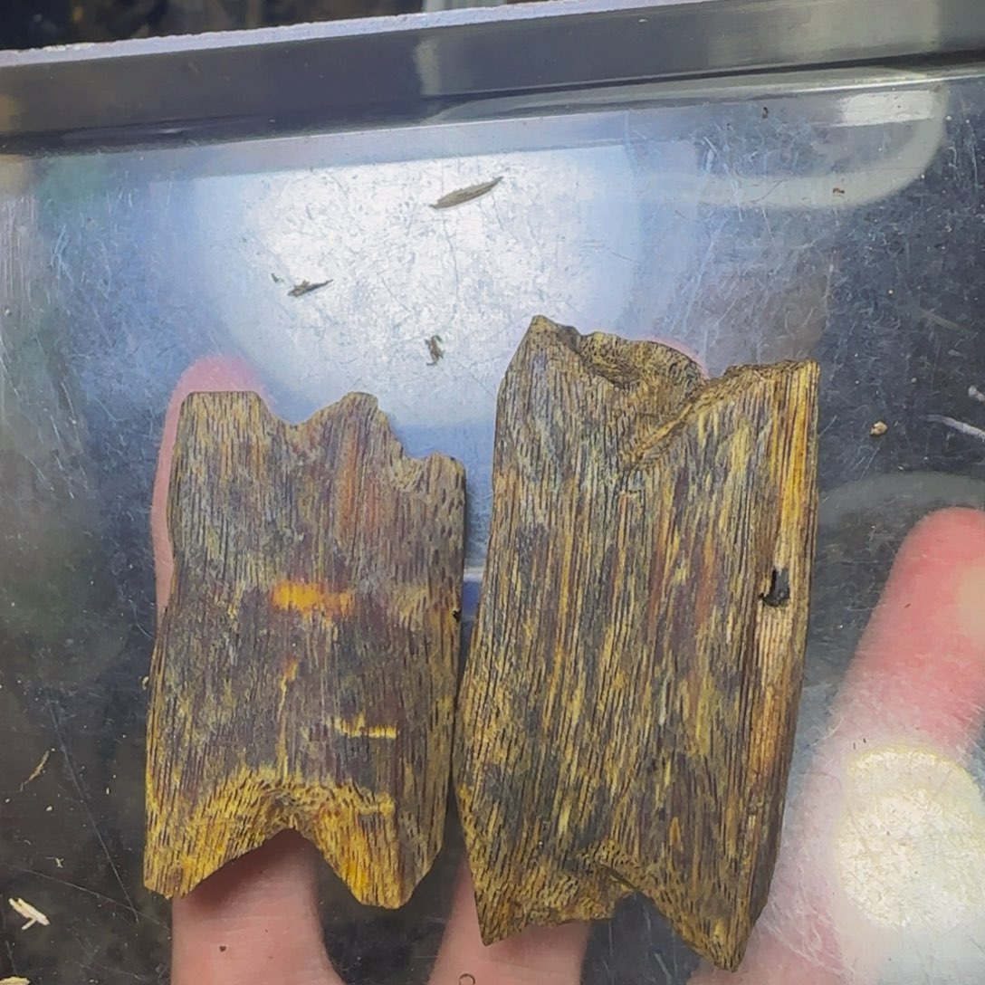 当***人沉香陆河块料15克发一份