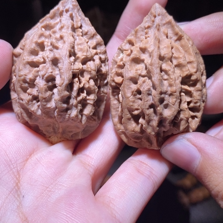 把件文玩核桃东北野生楸子小园 218