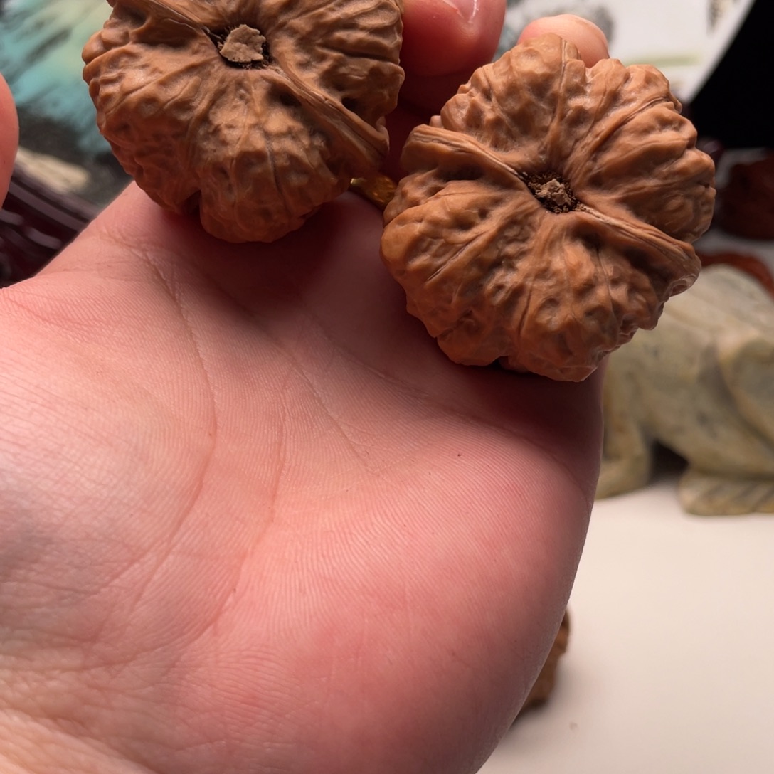 江****核桃蛤蟆头文玩C04