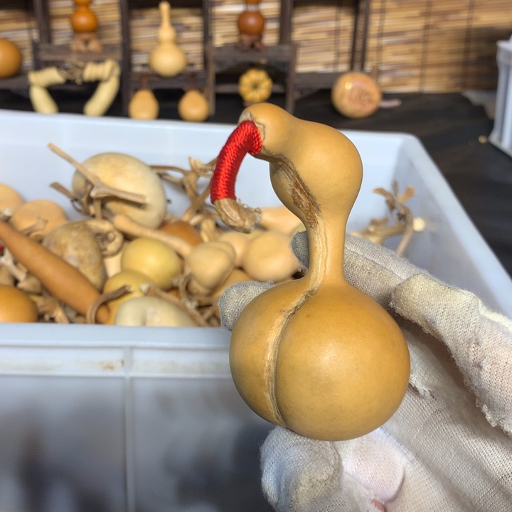 奶香小饼干是个大包菜呀好