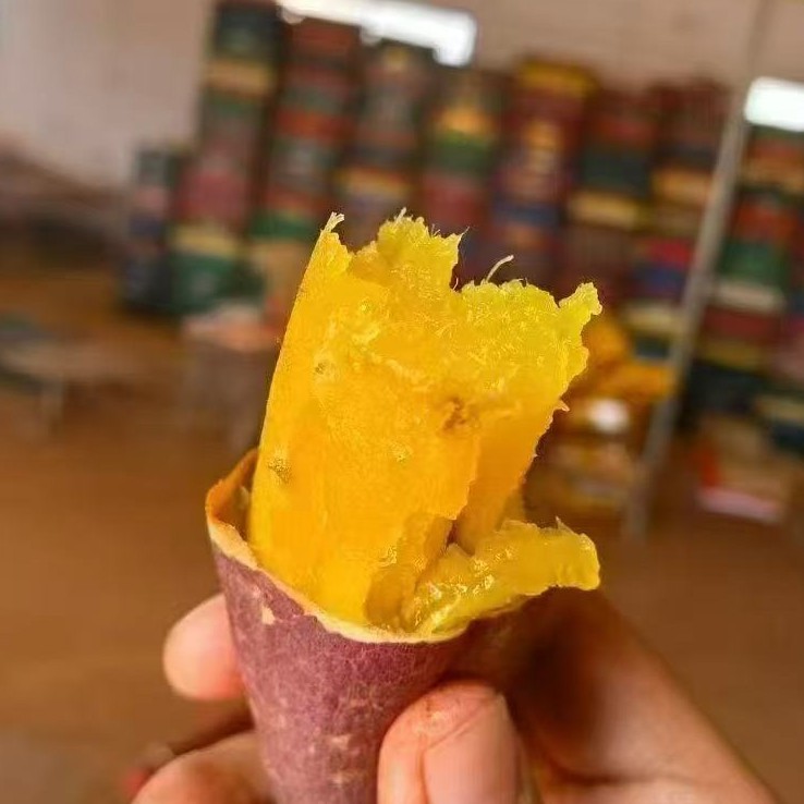 正宗云南高山红薯，最大特色就是很甜