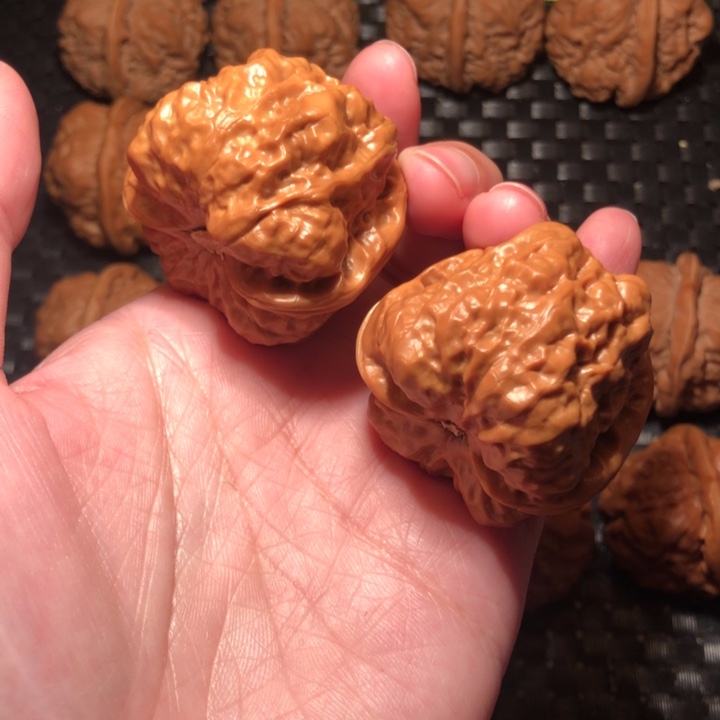 ****.文玩核桃把件蛤蟆