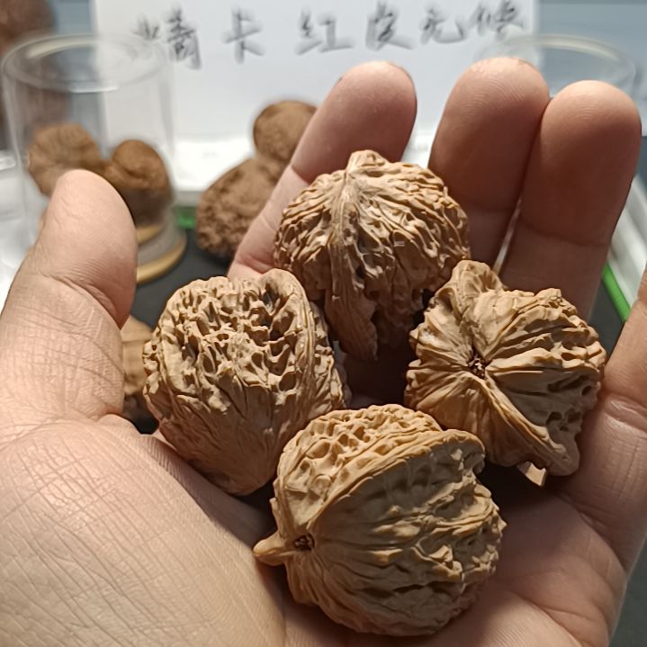 空**空小公子冒南疆石