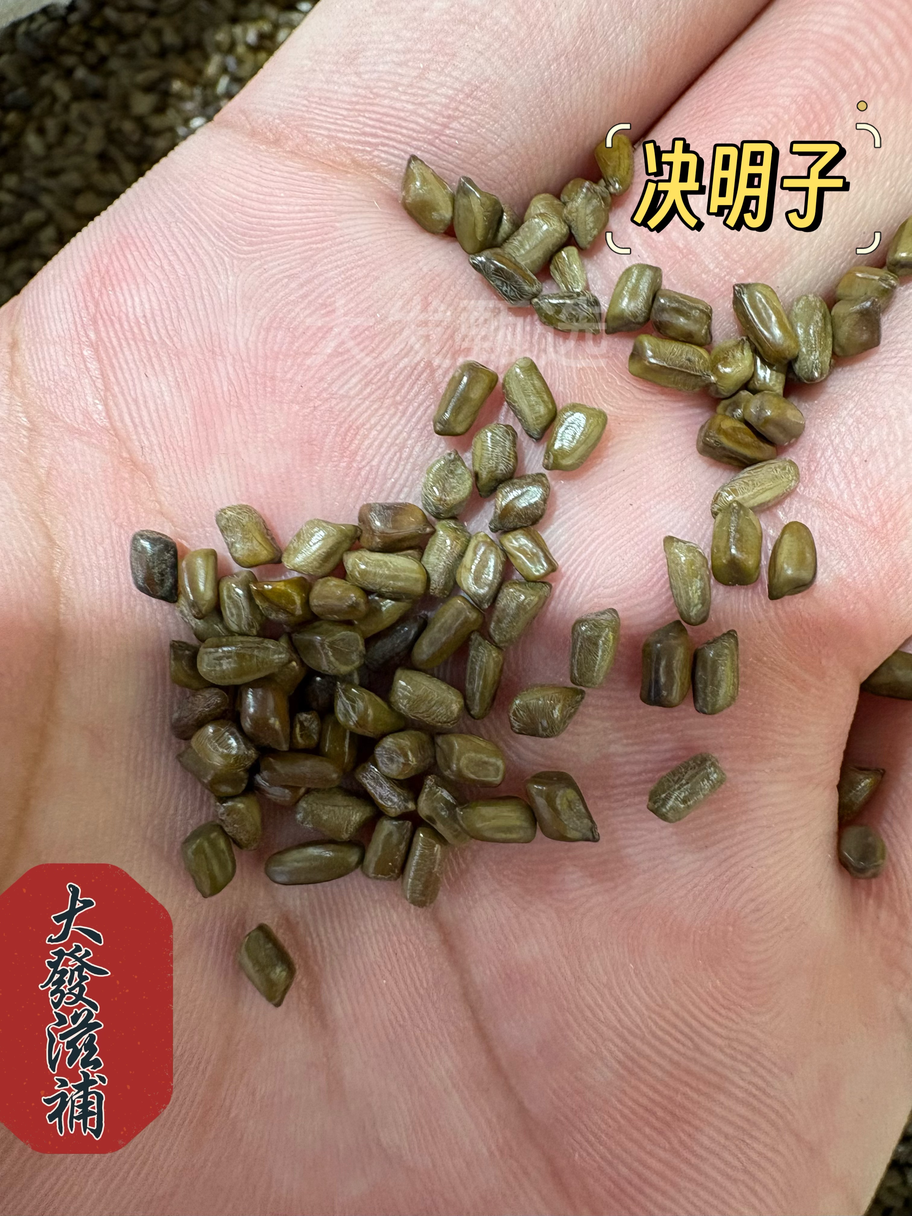 【大发甄选】决明子  国产决明子  颗粒饱满  干净