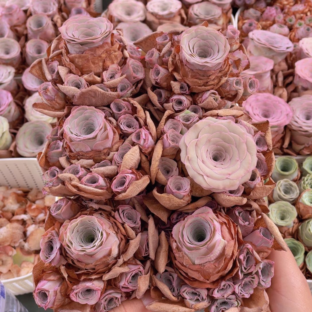 山地玫瑰花篮组合J305