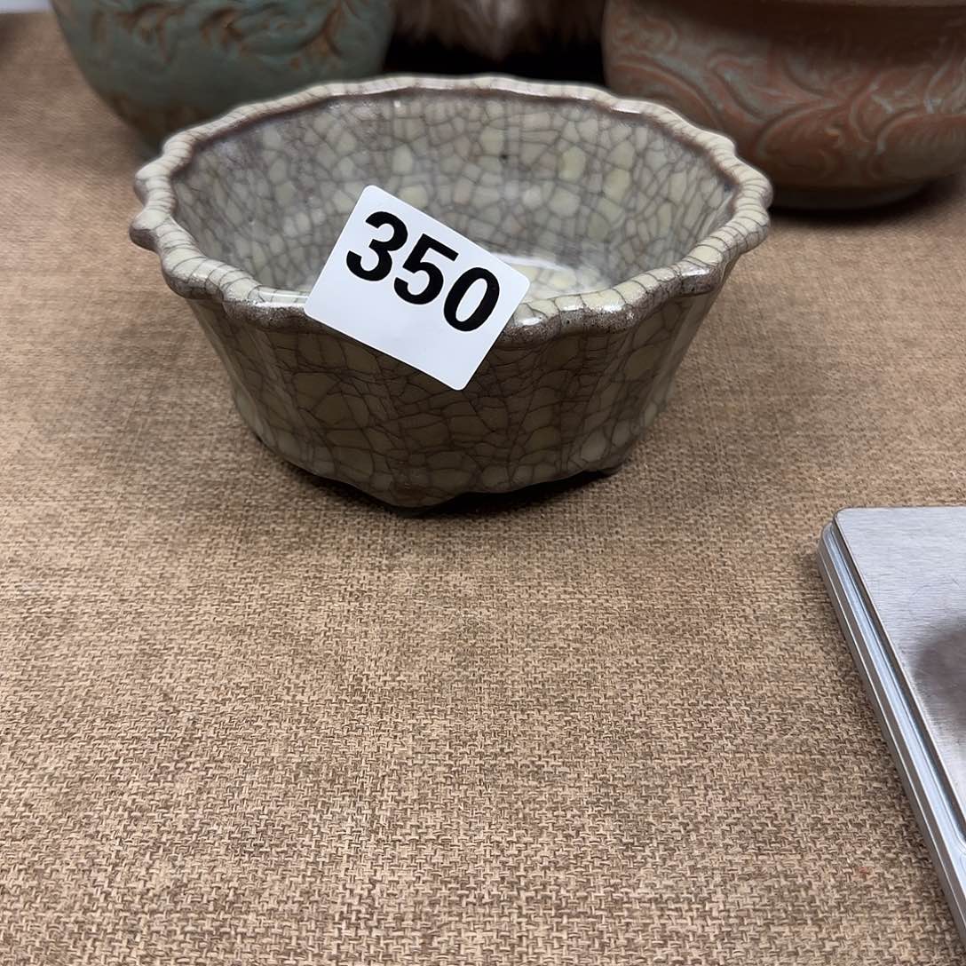 盘闪购链接，一物一拍，瓷正能量。