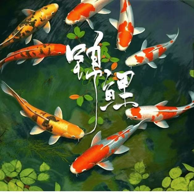 1号链接 观赏鱼 直播下单