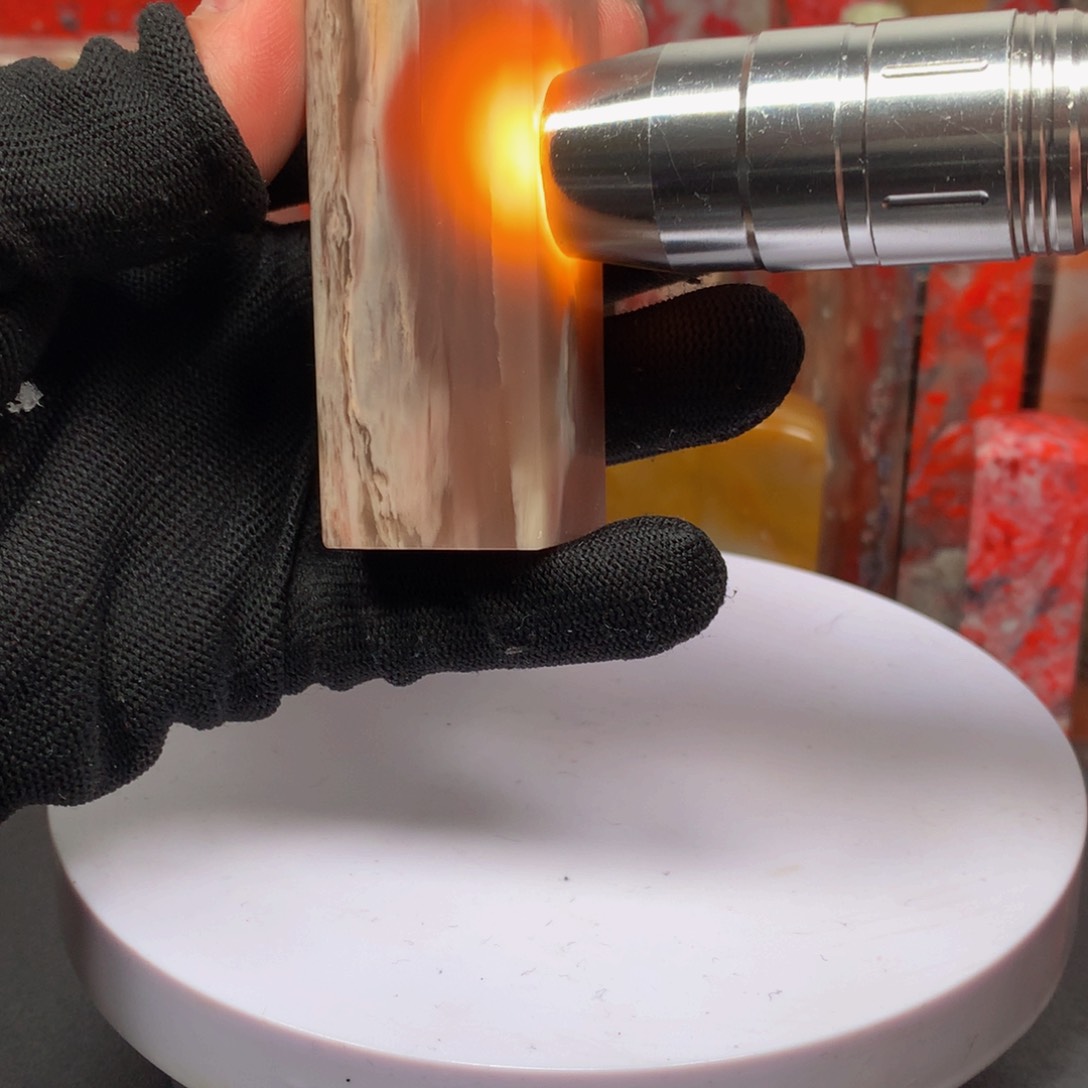 昌化石树纹冻印章