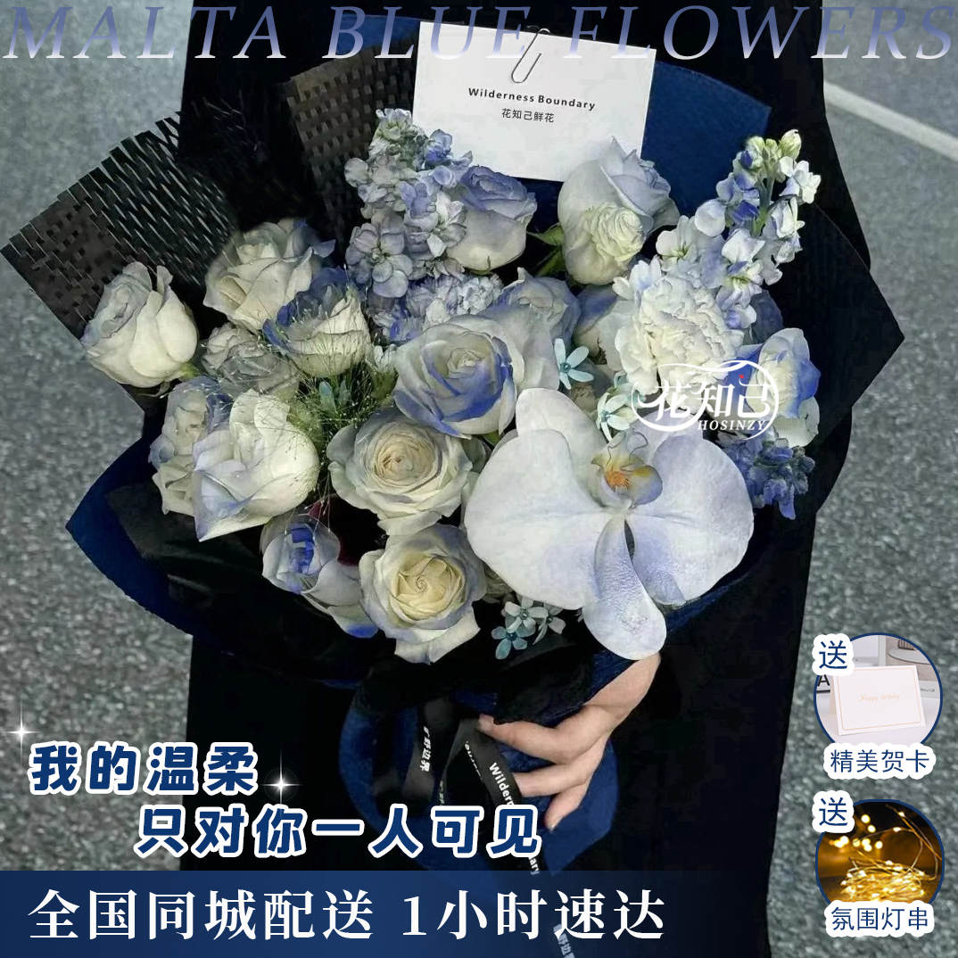 【墨色烟雨】11枝马耳他蓝喷色玫瑰1枝蝴蝶兰混搭花束送男友送爱人花束鲜花小时达中考花束