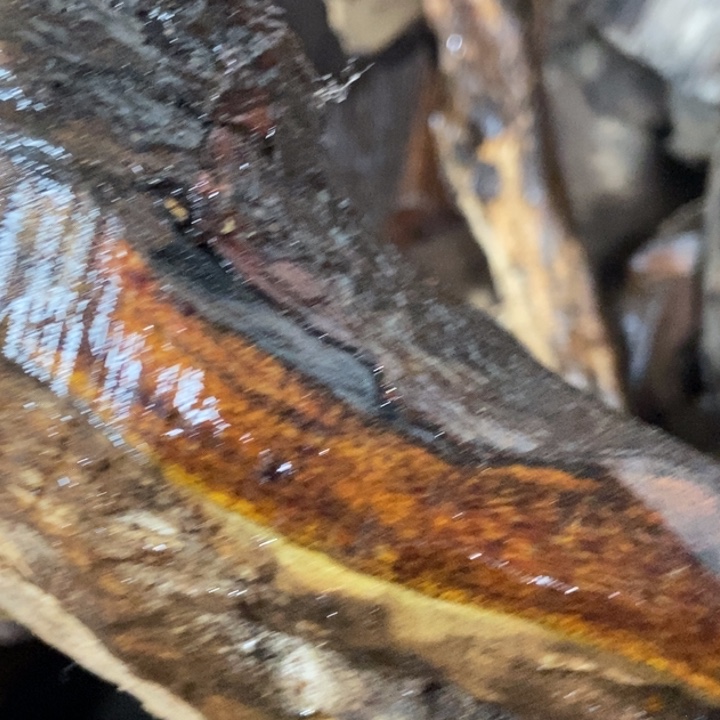 c***r贡木把件定制不退不换