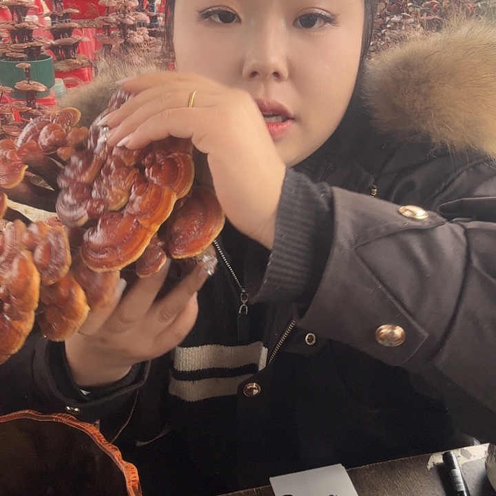 无花朵小**哥灵芝花开了吗