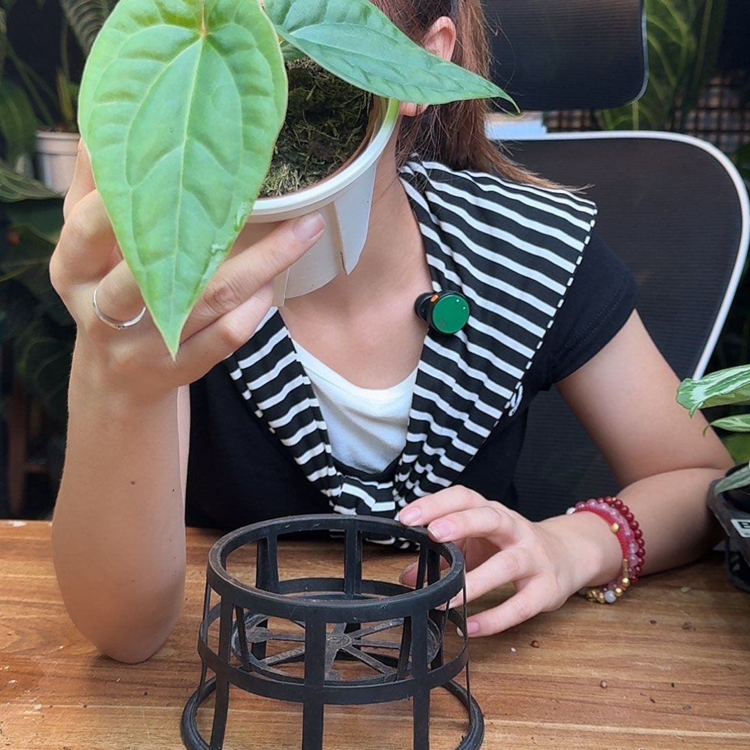 确***尔完全开放一物一拍B08