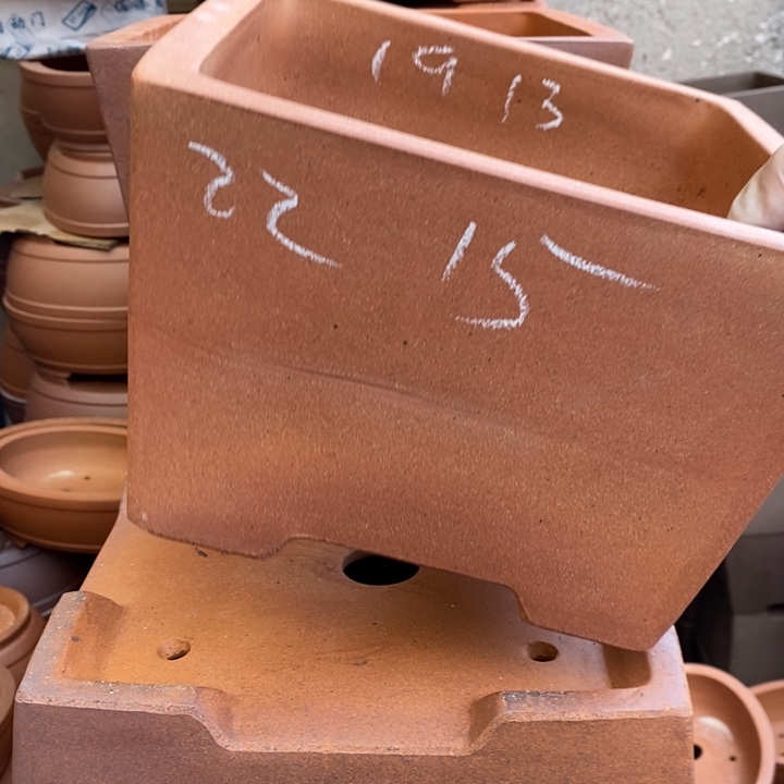 花盆紫砂只顾看电视