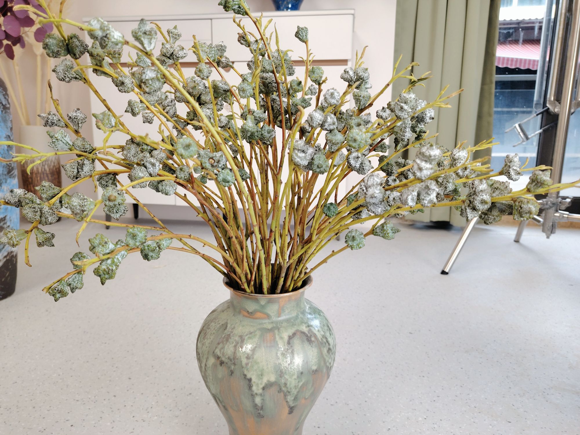 【尤加利果、翡翠果、钻石果】果实类花材，味道清香可做干花，懒人花材