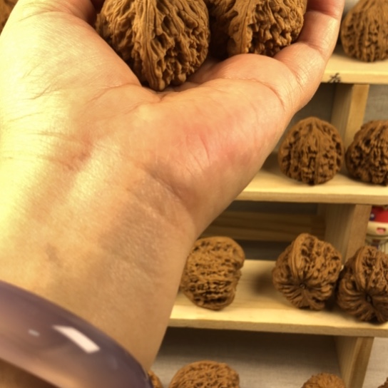 好***子把件文玩核桃福利多多