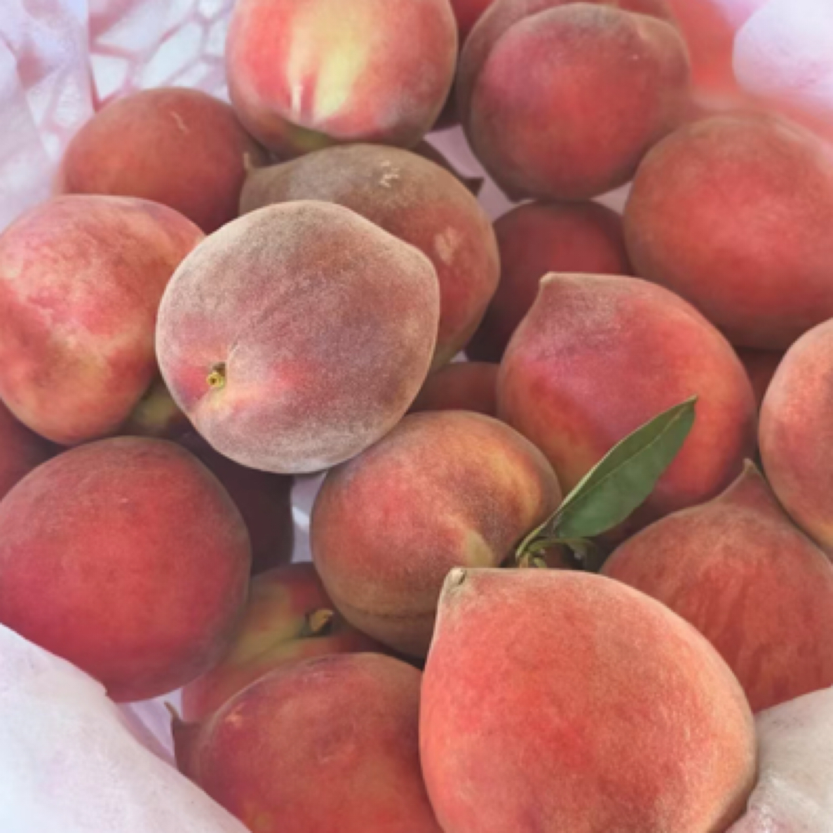 【京东次日达】家庭装云南红宝石蜜桃到手2kg当季新鲜水果桃子云南省