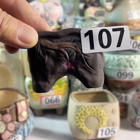 红陶多肉植物花盆