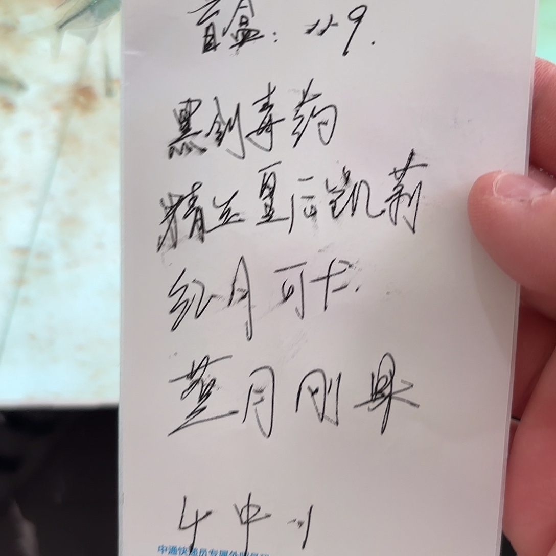 海水盲盒的鱼盲盒的鱼