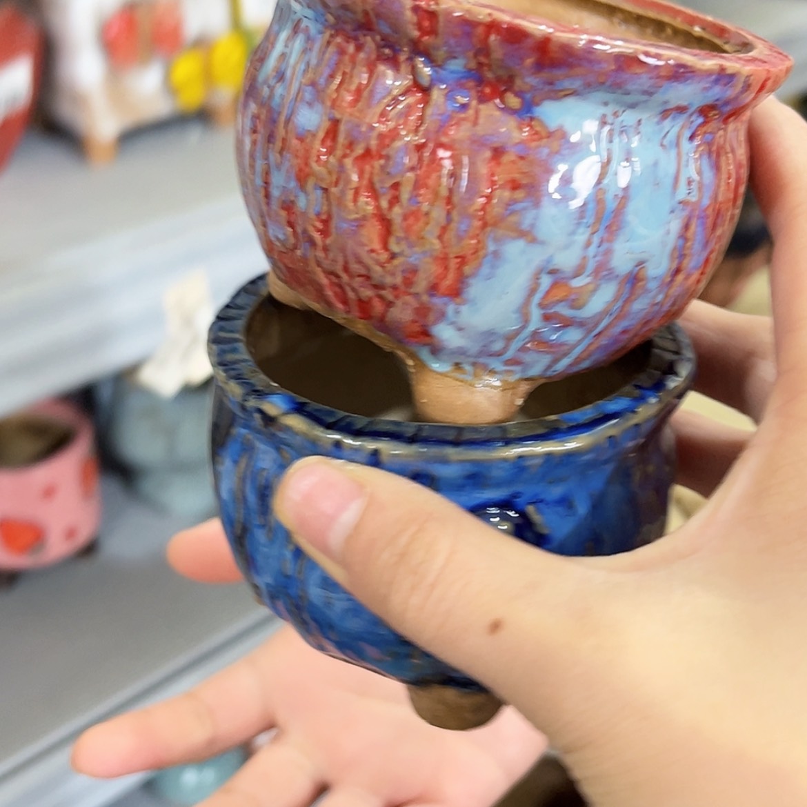 【闪购商品】红陶福利