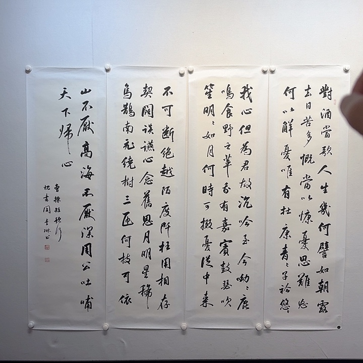 书法李琳书法作品