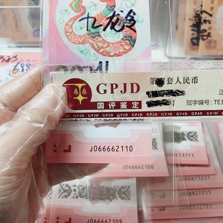 塑料蛇钞066662110九龙令