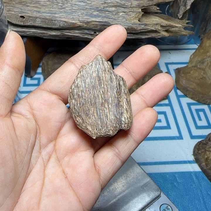 有***去木质港香沉香大瓜子4.7克