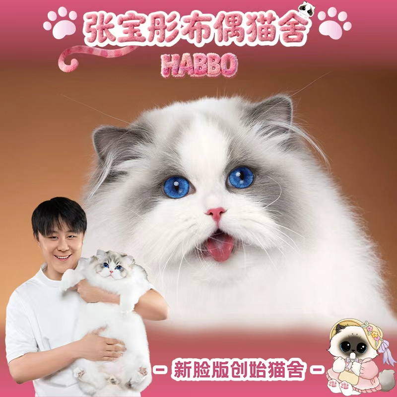 张宝彤布偶猫舍-小柚柚妹妹 | 新脸版创始猫舍