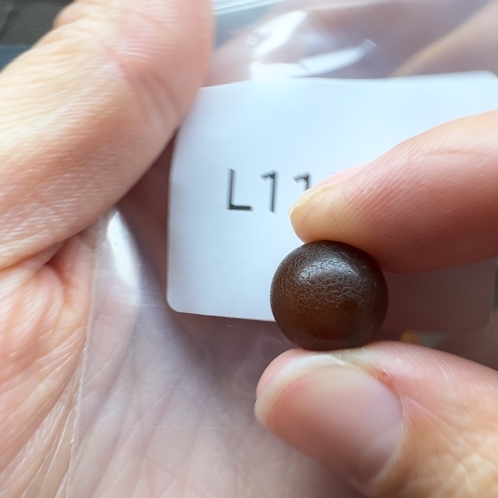 用***5玛瑙/玉髓未镶嵌珠宝半成品