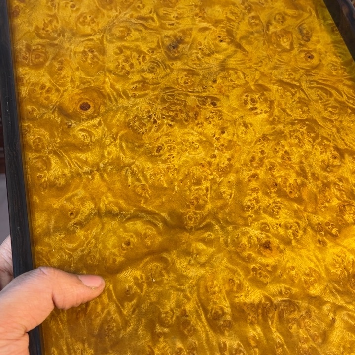 木黄金樟留疤超大托盘