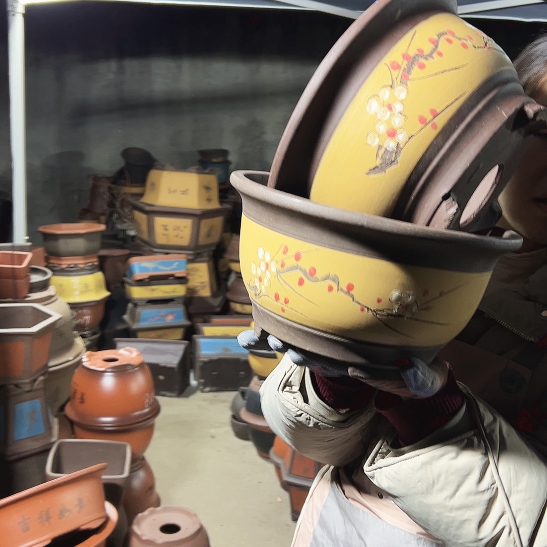 黄富贵点菜中号一对