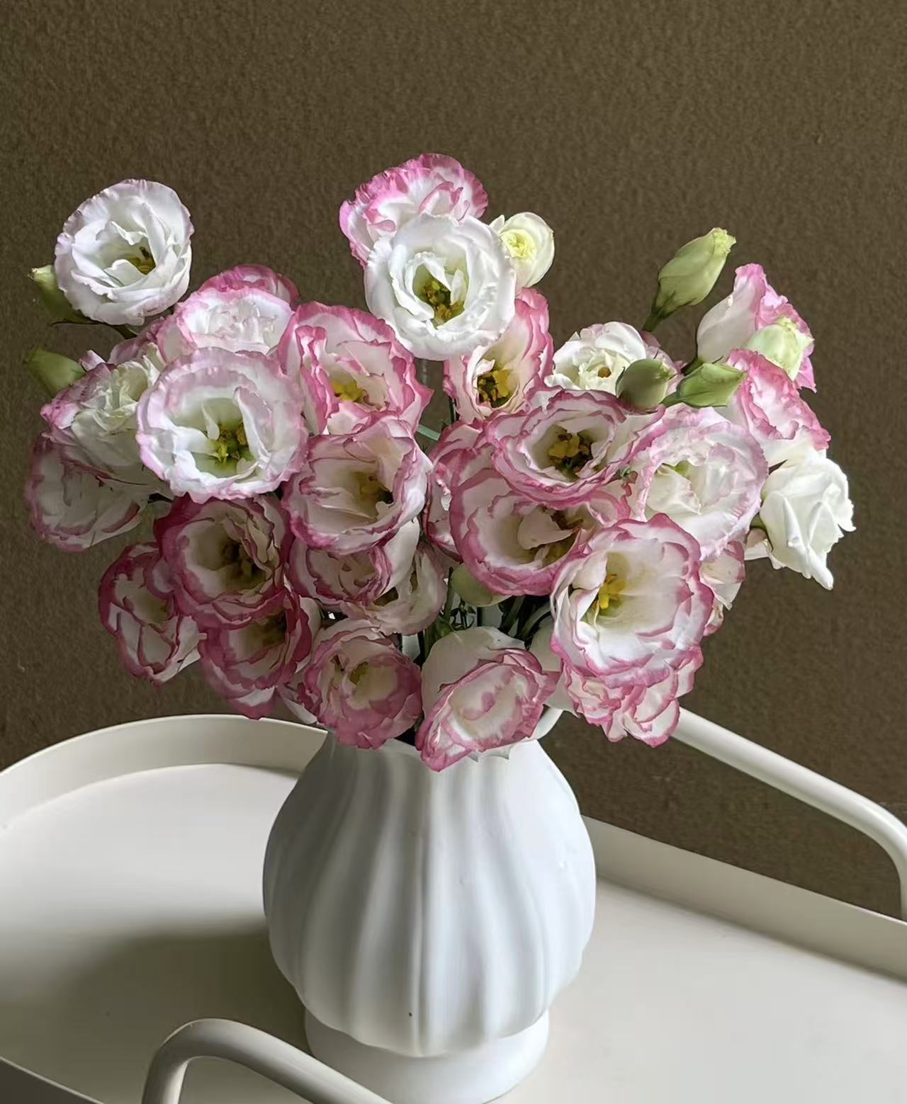 粉边洋桔梗一束(收到及时醒花）