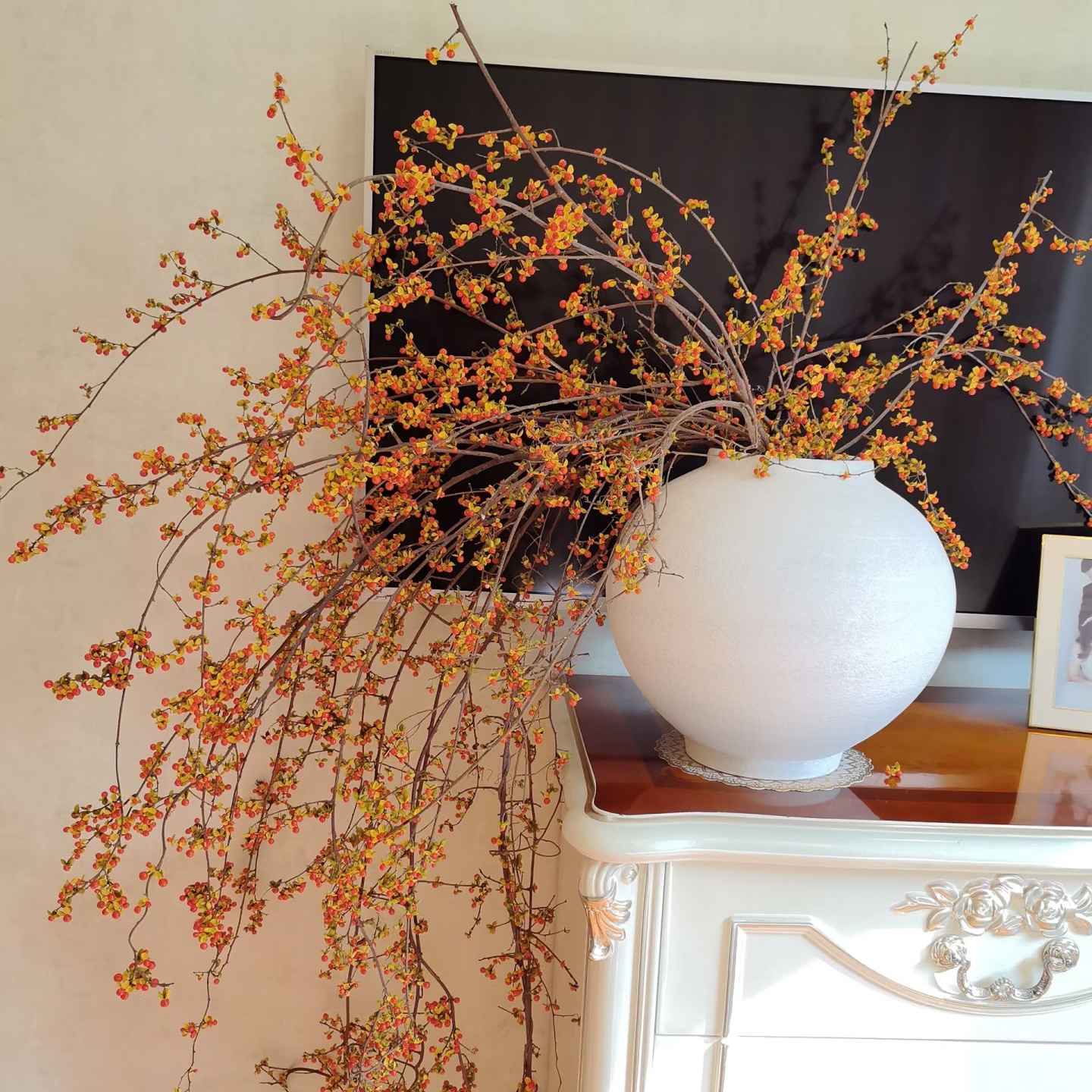 【植迷专属】南蛇腾鲜切枝花材长花期可做干花水培植物云南顺丰直发