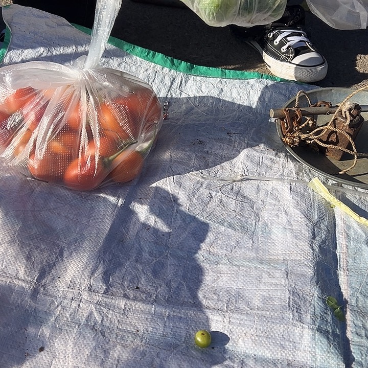 云南苦子果1份+树番茄2斤