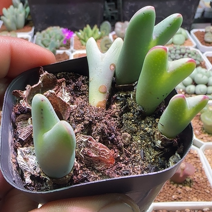 麟***709哈哈哈哈哈哈哈哈