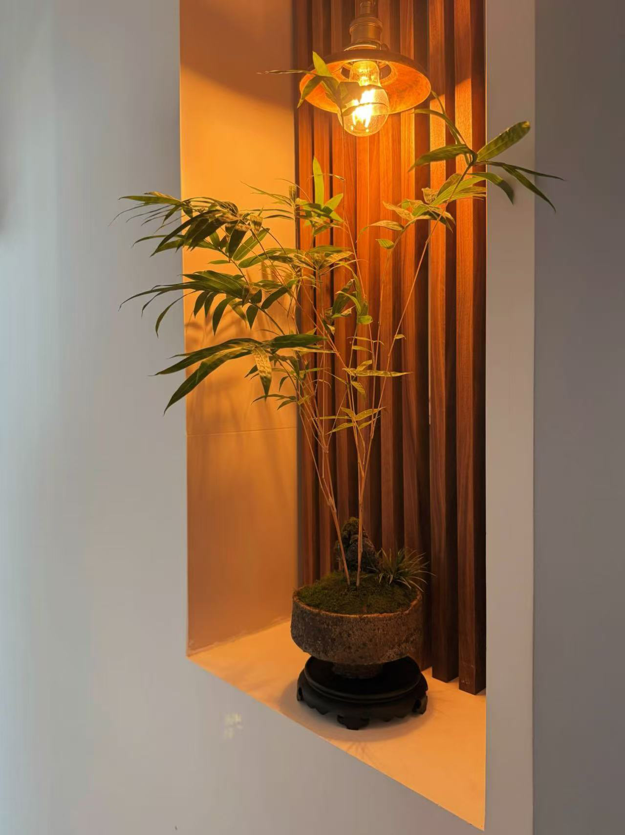 红竹闸钵体新中式室内禅艺盆景