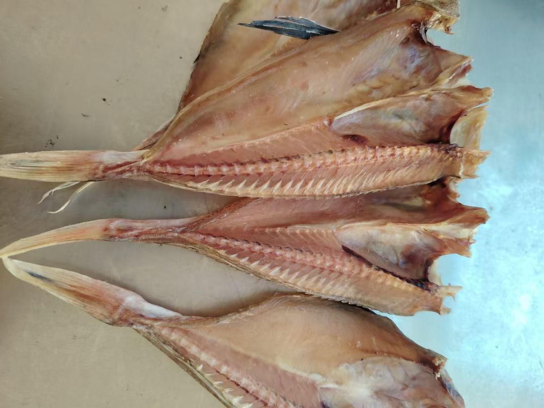 渔家自家晒的淡干红头鱼片去头去内脏自然风干