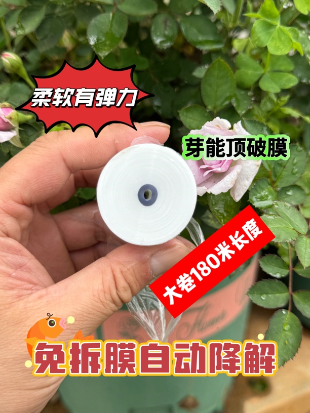 免拆嫁接膜自动降解芽穿刺打接嫁接膜老款嫁接膜