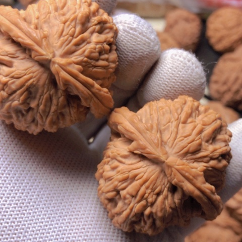 【闪购商品】桃核吊坠白狮子头狮子头