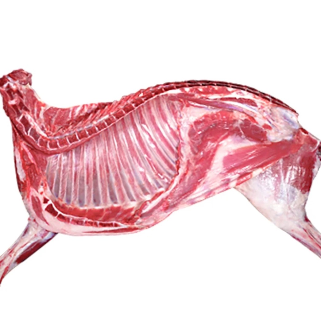 内蒙牧区阿尔巴斯羊肉，全羊带礼盒（带分割）