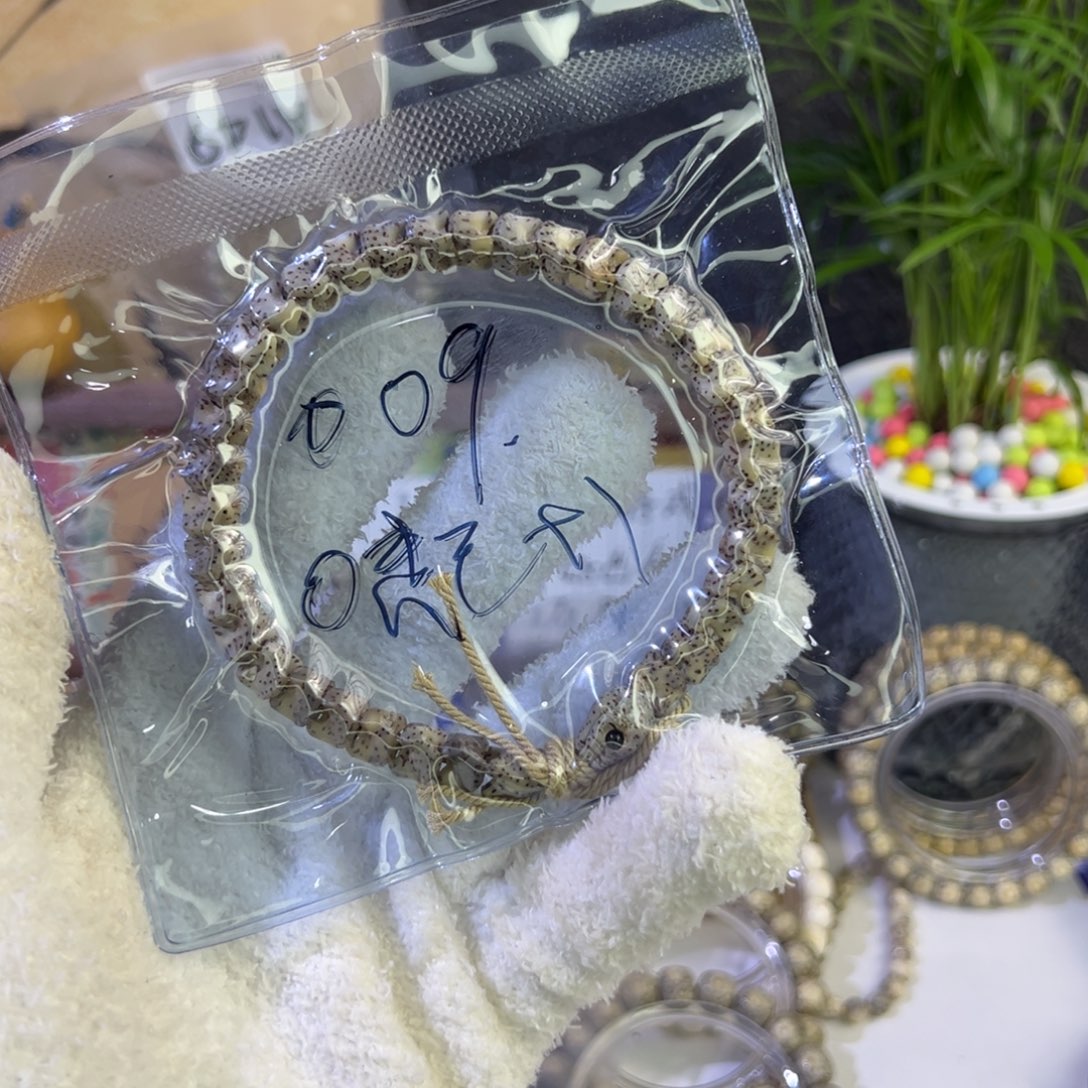 手串星月菩提009青蛇