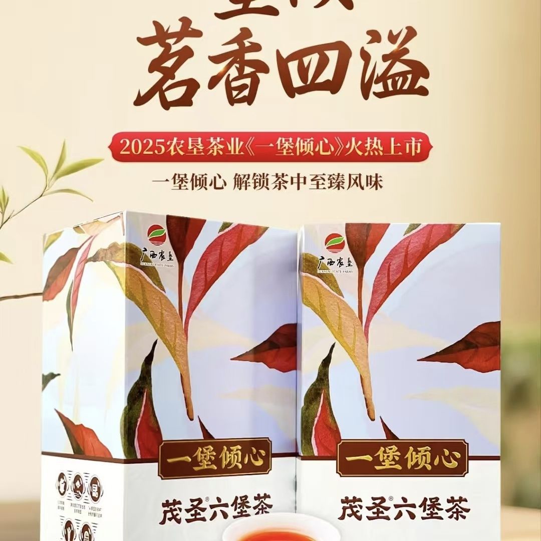 【一堡倾心】广西茂圣六堡茶正宗特产陈年黑茶150g六堡茶