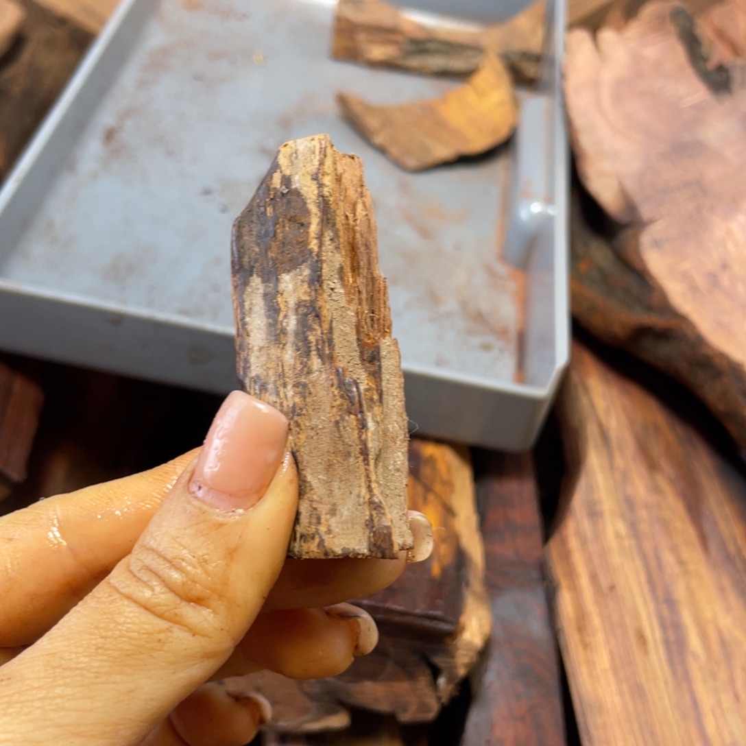 黄花梨/降香黄檀老料