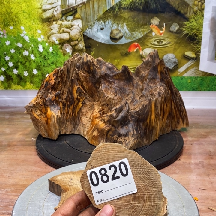 y***g木我在外面吃饭呢你30