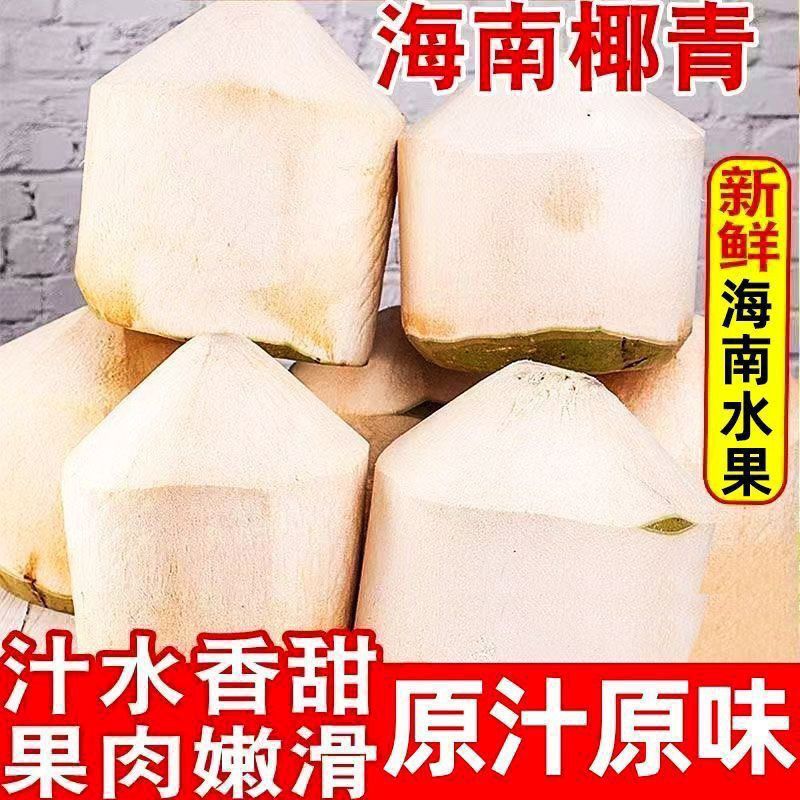 海南新鲜椰青天然特产9个装适合孕妇精选大果送开口器清甜解渴