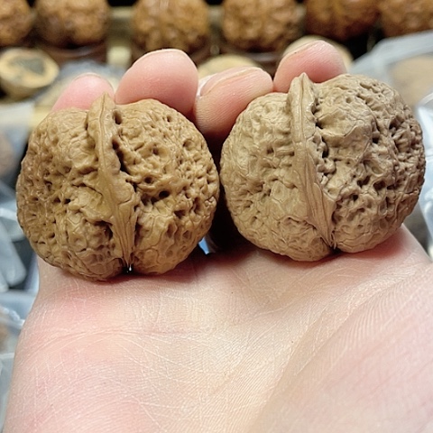 文玩核桃把件密纹金蟾带彩39